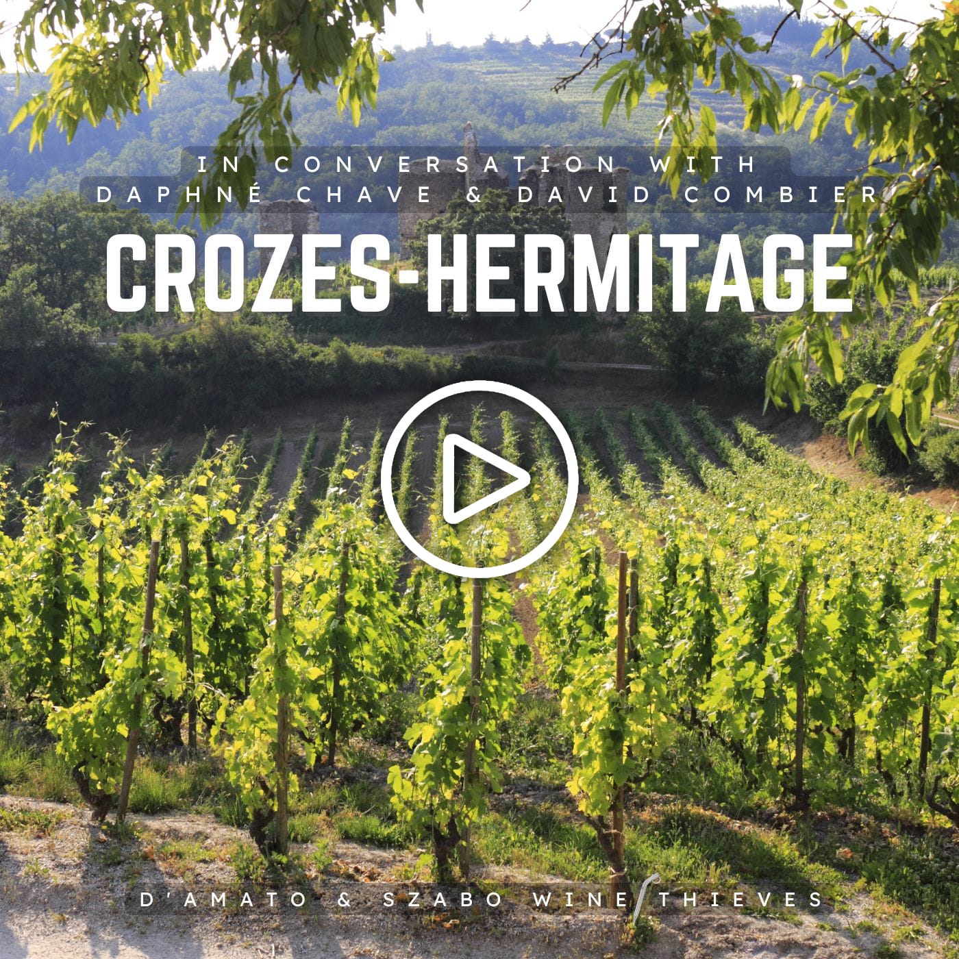 PODCAST : D’Amato & Szabo: Wine Thieves